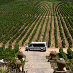 Iconos de Viña Santa Cruz PM