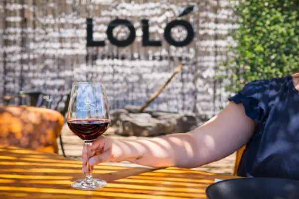 Loló Copa Terraza