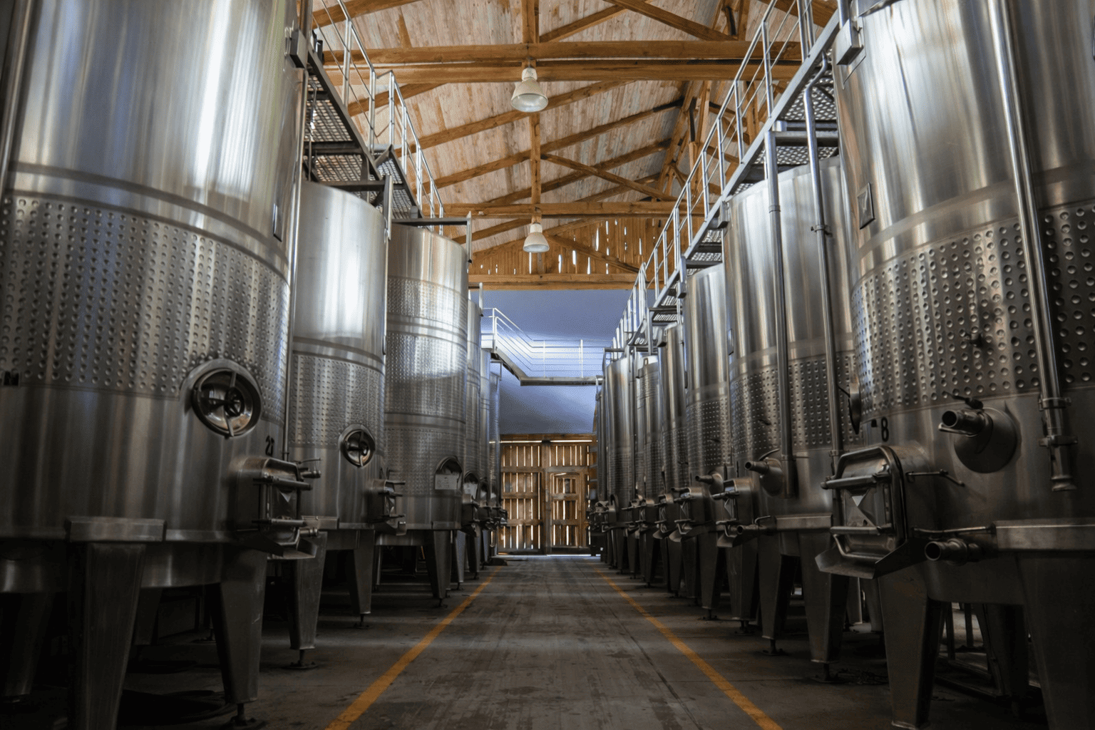 Tour Grandes vinos - Imagen 3