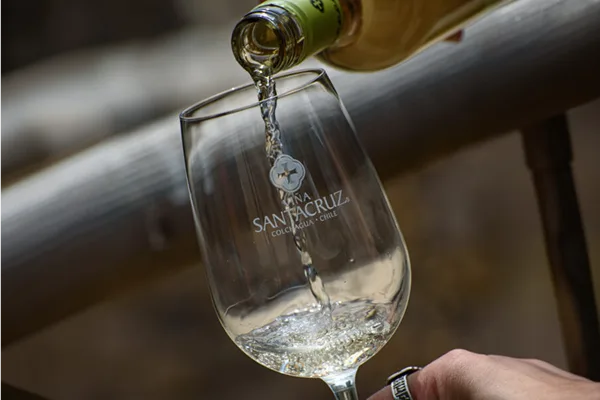 Selección de Vinos & Maridaje - Hotel Santa Cruz