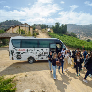 Ruta Gran Chamán AM