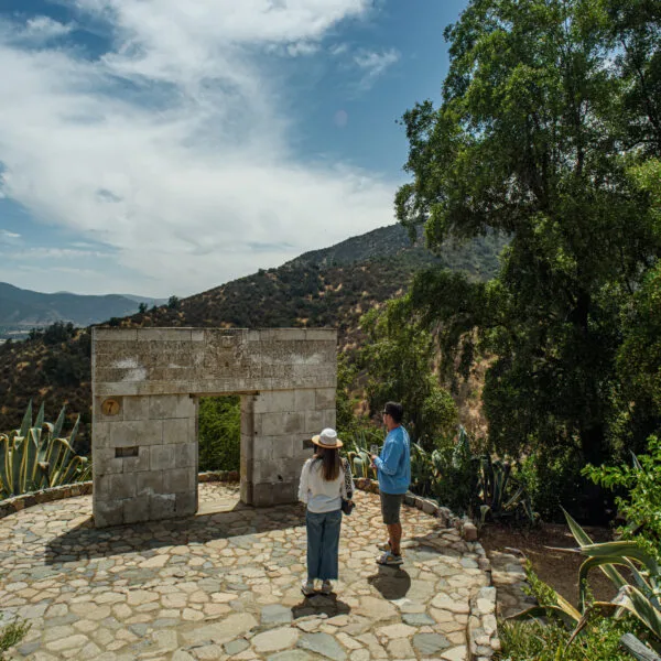 Enoturismo en Viña Santa Cruz