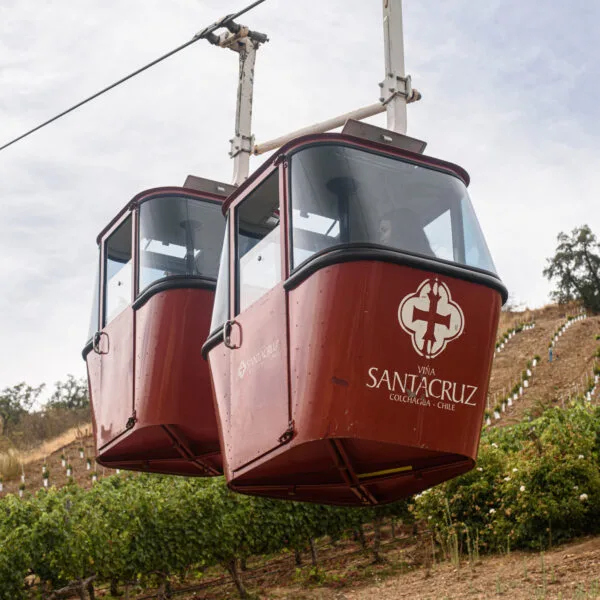 Enoturismo en Viña Santa Cruz