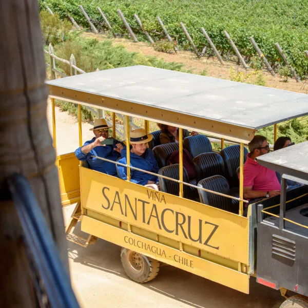 Enoturismo en Viña Santa Cruz