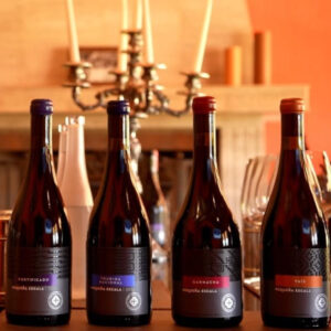 Experiencia Pequeña Escala