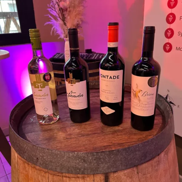 Cata de vinos Chile en tu copa