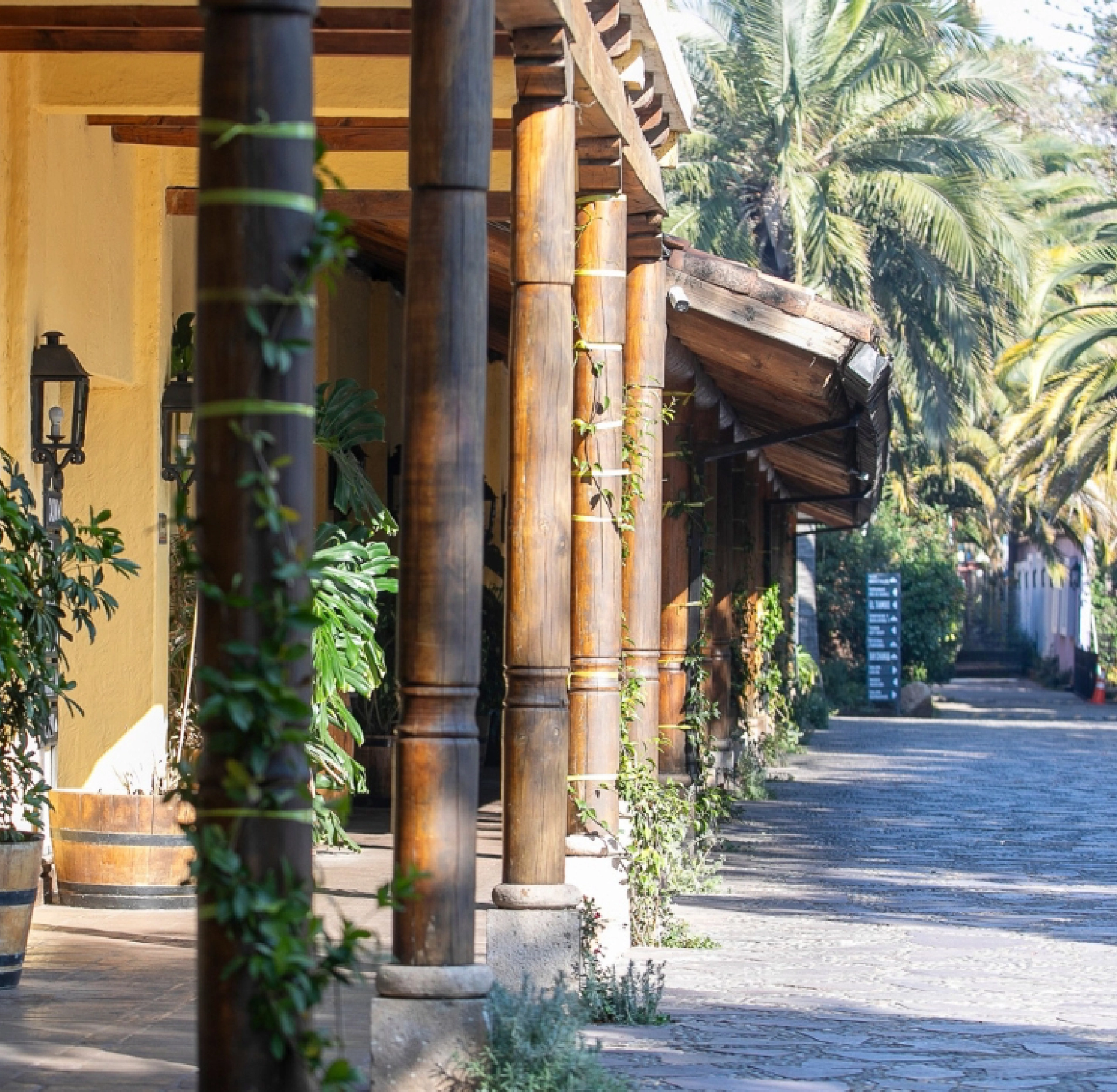 Patio Hotel Santa Cruz