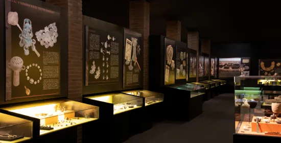 Museo Colchagua